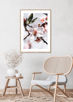 תמונת קיר מודרנית דבורה על פרח-תמונות לבית צילום-MIKOO