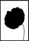 תמונה לסלון שחור לבן פרח שחור-MIKOO