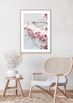 תמונה לסלון פריחת השקדייה-תמונות לבית צילום-MIKOO