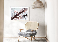 תמונת קיר מודרנית של שקדיה עם צבעים בהירים-תמונות לבית צילום-MIKOO