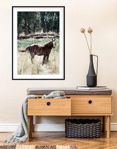 תמונות לבית-תמונות לחדר שינה-תמונות לקיר-תמונה לבית של סוס-MIKOO