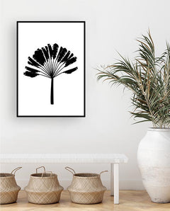 תמונות לקיר-תמונה שחור לבן עץ בננה-MIKOO