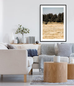 תמונות לבית-תמונות לחדר שינה-תמונות לקיר-תמונה לבית ציפורים בשטח-MIKOO