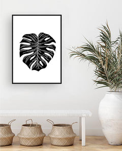 תמונות לקיר-תמונה שחור לבן עלה-MIKOO
