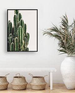 תמונות לבית-תמונות לחדר שינה-תמונות לקיר-תמונה קקטוס משמאל-MIKOO