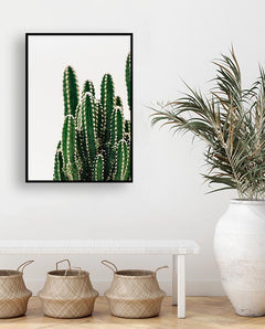 תמונות לבית-תמונות לחדר שינה-תמונות לקיר-תמונה קקטוס מימין-MIKOO