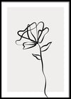 תמונה לחדר שינה שחור לבן פרח עדין-MIKOO