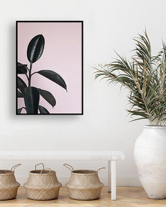 תמונות לבית-תמונות לחדר שינה-תמונות לקיר-תמונה פיקוס קיר ורוד-MIKOO