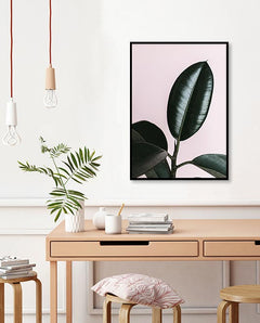 תמונות לבית-תמונות לחדר שינה-תמונות לקיר- תמונה לבית פיקוס מקרוב-MIKOO