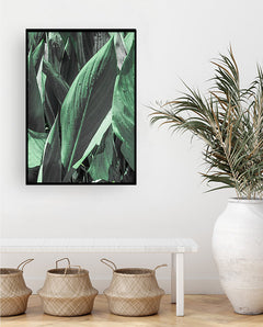 תמונות לבית-תמונות לחדר שינה-תמונות לקיר-תמונה עלים ירוקים-MIKOO