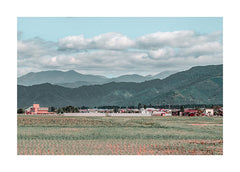 תמונות לבית-תמונות לחדר שינה-תמונות לקיר-תמונת נוסף לסלון טבע יפני-MIKOO