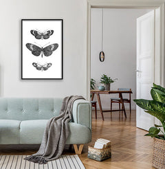 תמונה לבית של פרפרים שחור לבן-MIKOO