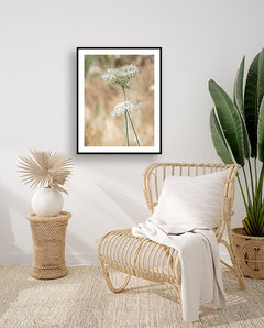 תמונות לבית-תמונות לחדר שינה-תמונות לקיר- תמונה פרח לבן-MIKOO