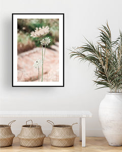 תמונות לבית-תמונות לחדר שינה-תמונות לקיר-תמונה לבית פרח לבן-MIKOO